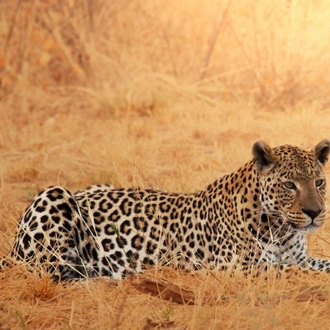 tourhub | ATC Namibia | Etosha Safari Adventure, Self-drive 