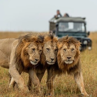 tourhub | Wildlife Dreams | Wildlife Dreams Tailor- Made Safaris 