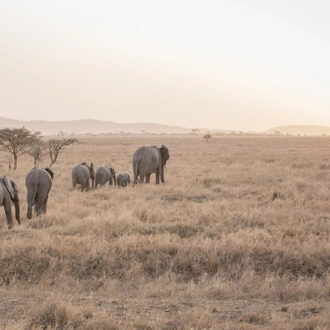 tourhub | Intrepid Travel | East Africa Highlights 