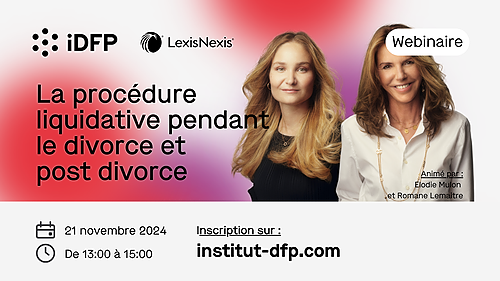 Représentation de la formation : Webinaire | La procédure liquidative pendant le divorce et post divorce