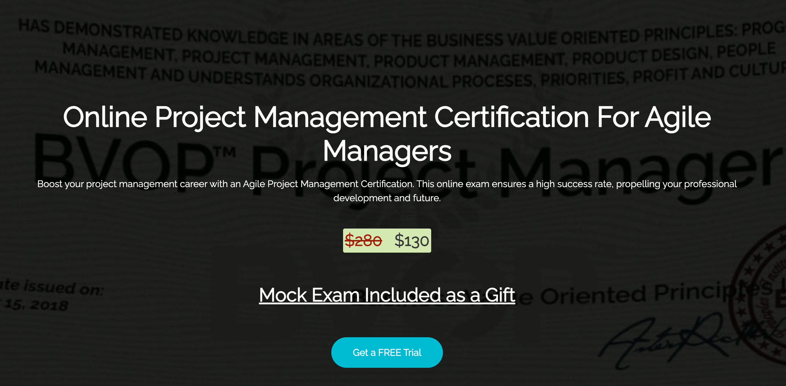 online project management certification