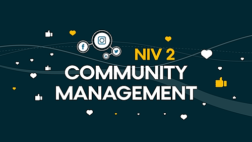 Représentation de la formation : COMMUNITY MANAGEMENT - NIVEAU 2