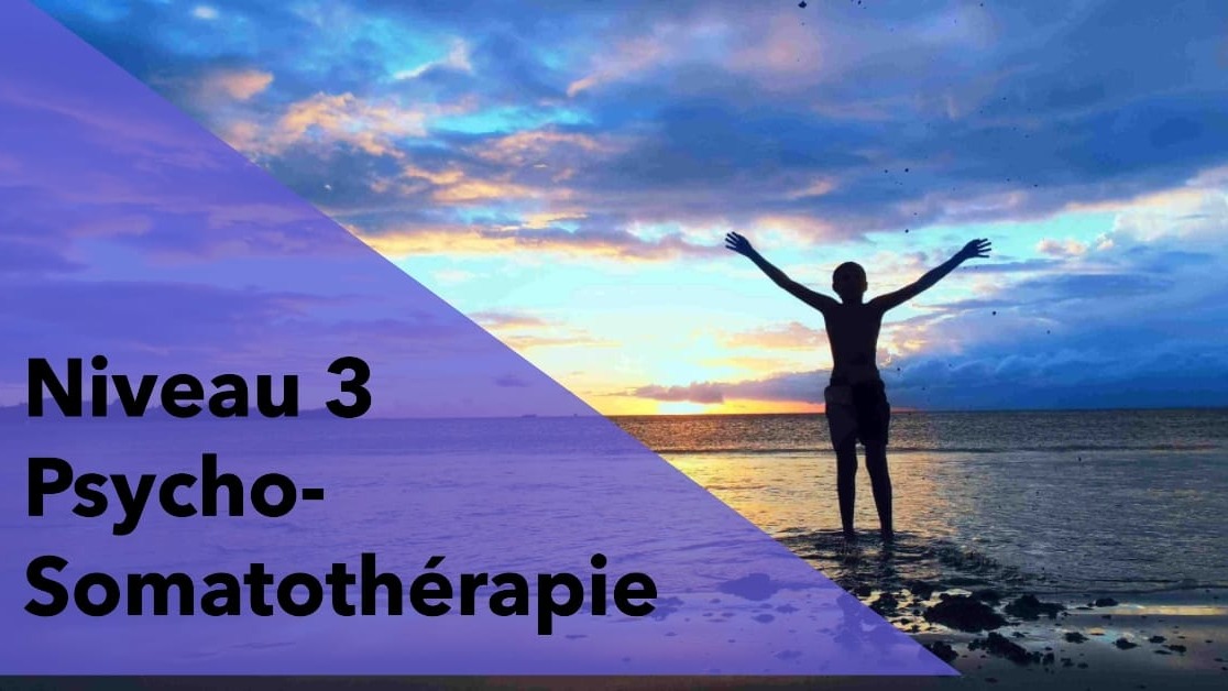 Représentation de la formation : Niveau 3.1 Psycho-Somatothérapeute 