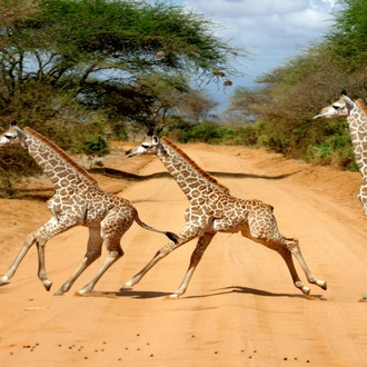 tourhub | Today Voyages | Scenic Kenya Safari, Private Tour 