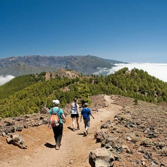 tourhub | YellowWood Adventures | Undiscovered towns & trails of the Canary Islands 