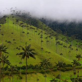 tourhub | Exodus Adventure Travels | Colombia: Culture, Coffee & Caribbean 