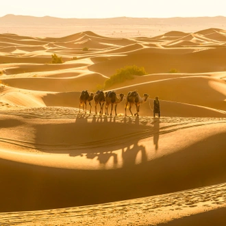 tourhub | Marrakesh Journeys | 4 days trip to discover southern Morocco & Sahara 