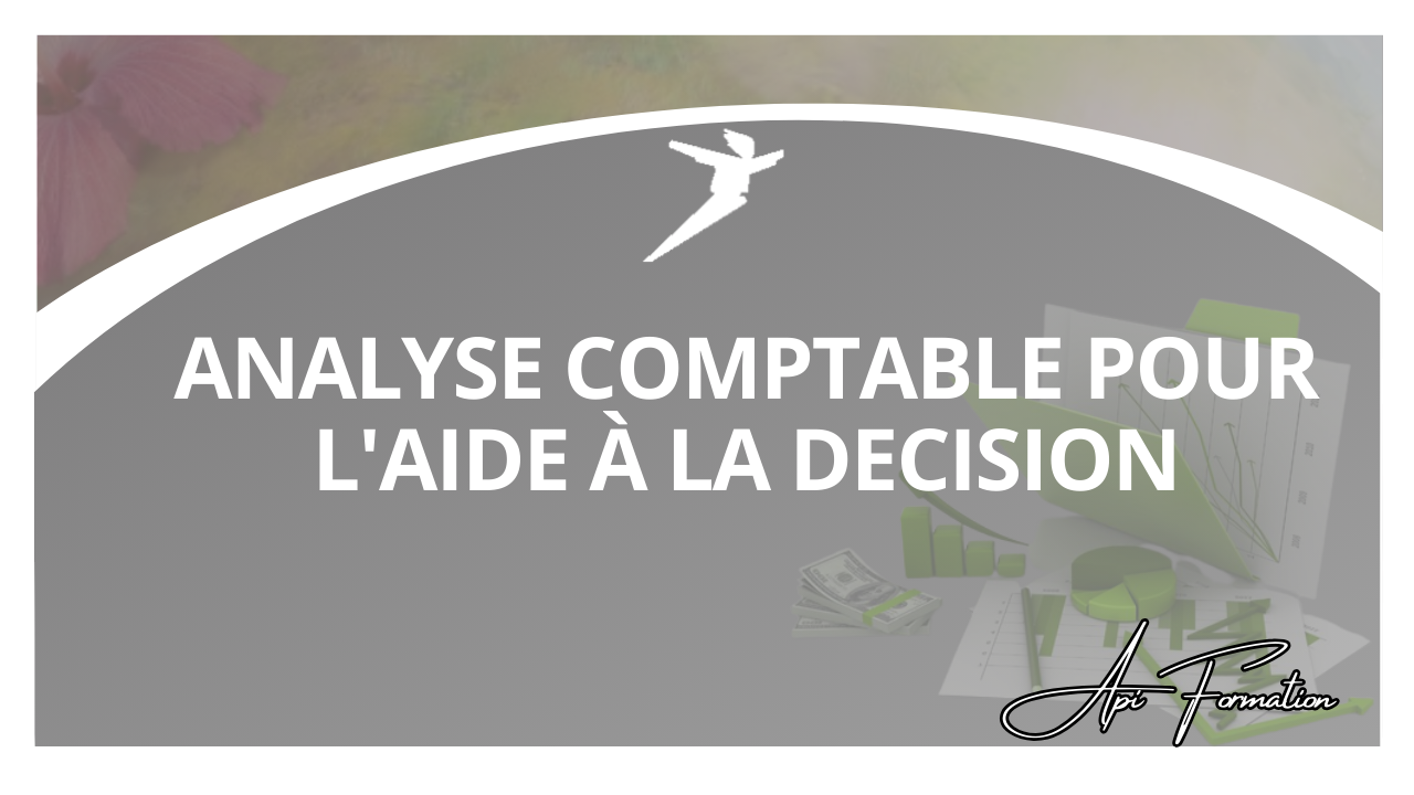 Représentation de la formation : ANALYSE COMPTABLE POUR L'AIDE A LA DECISION