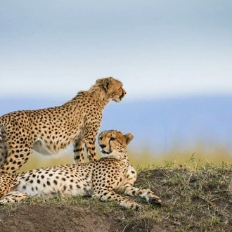 tourhub | Verdoro Safaris | 12-Days East Africa Experience: Uganda, Kenya & Tanzania 