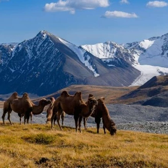 tourhub | World Expeditions | Mongolian Panorama 