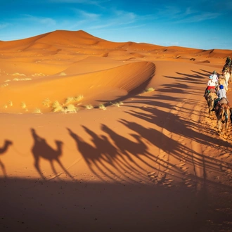 tourhub | Miki Travel Asia | 8D7N Morocco Tour with Sahara Experience 