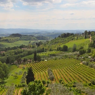 tourhub | G Adventures | Italy: Tuscany and Umbria Vineyard Walks 