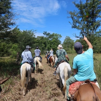 tourhub | Etours Brazil | On the track of the Jaguar 