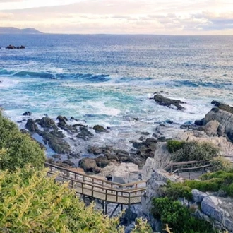 tourhub | Contiki | Garden Route and Addo | 2024 