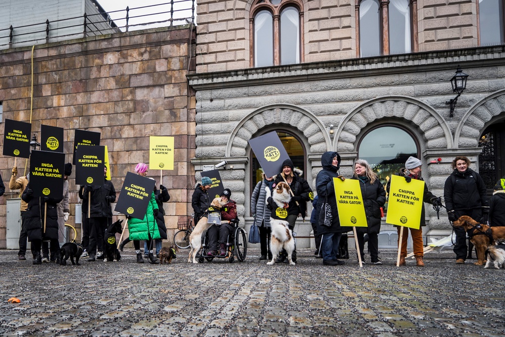 Hund-demonstration för märkning av katter utanför riksdagen den 17 februari. Foto: Djurskyddet Sverige