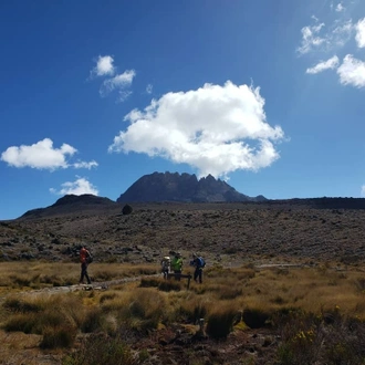 tourhub | Horizon Seeker Adventure | 11 days Kilimanjaro Climbing Northern Circuit route 