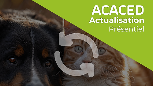 Représentation de la formation : ACACED Actualisation