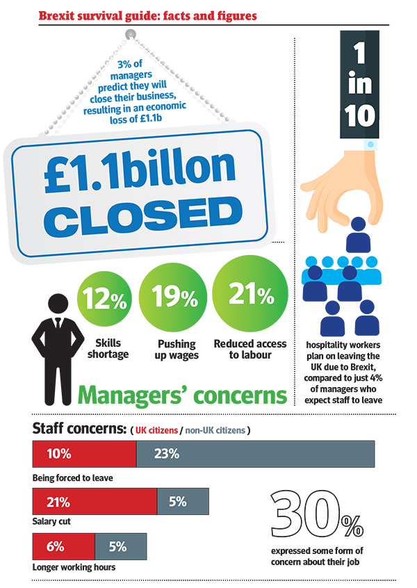 brexit-survival-guide