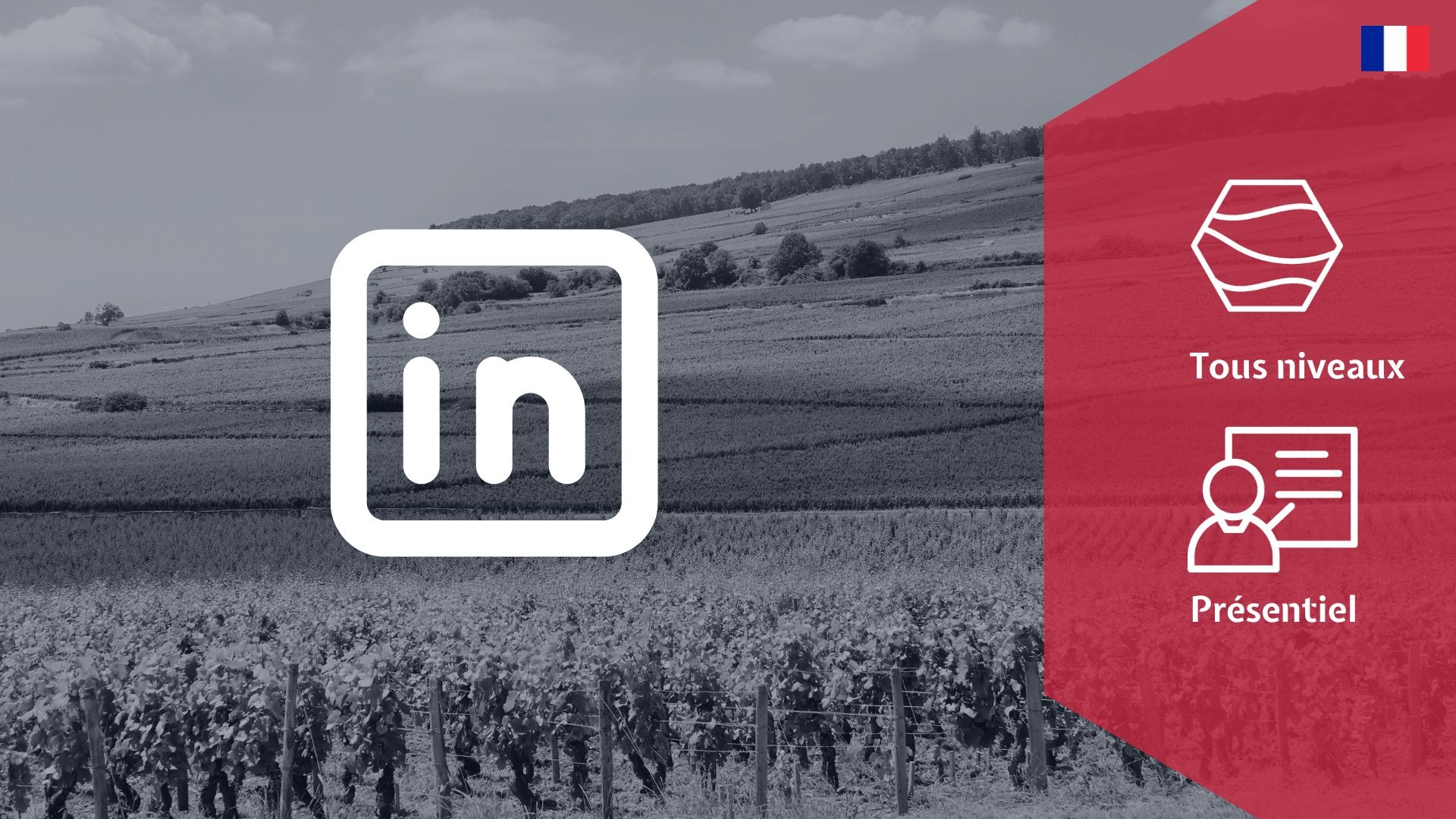 Représentation de la formation : Découvrir LinkedIn pour le secteur vins, bières et spiritueux