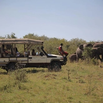 tourhub | Gracepatt Ecotours Kenya | 7 Days Samburu, Lake Naivasha & Masai Mara National Reserve  