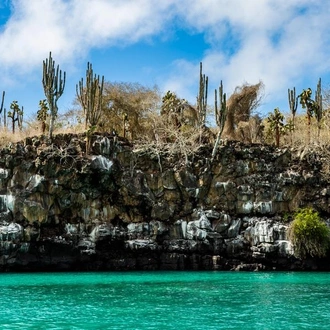 tourhub | G Adventures | Galápagos Adventure: Snorkelling & Sea Lions 