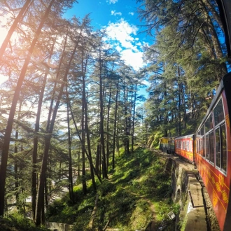 tourhub | Go Book Tours | Golden Triangle Tour with Shimla and Toy Train Ride 