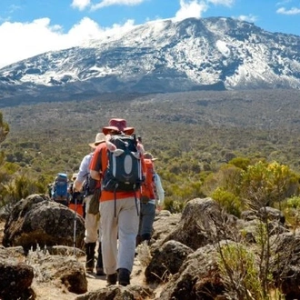 tourhub | Spider Tours And Safaris | 6 Days Kilimanjaro Climb Umbwe Route 