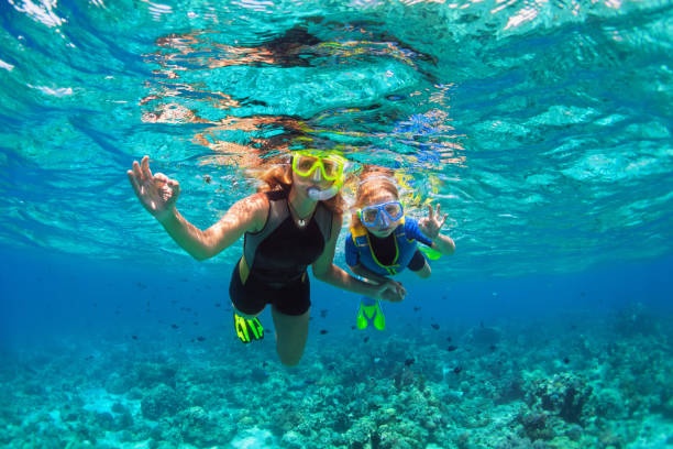 Full Snorkel Gear Rental