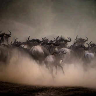 tourhub | Exodus Adventure Travels | Kenya Photographic Safari with Paul Goldstein - Premium Adventure 