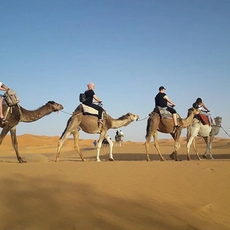 tourhub | Across Africa Tours Travel | 2 Days / 1 Nights, Fes To Fes Desert Tour 