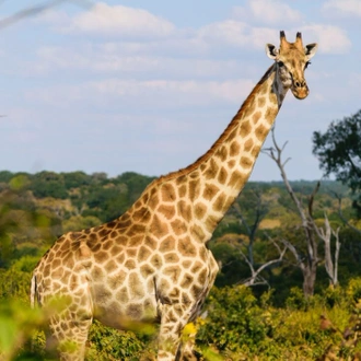 tourhub | Intrepid Travel | Experience Southern Africa 