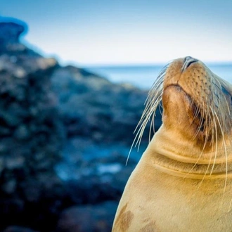 tourhub | Encounters Travel | Best of the Galapagos 