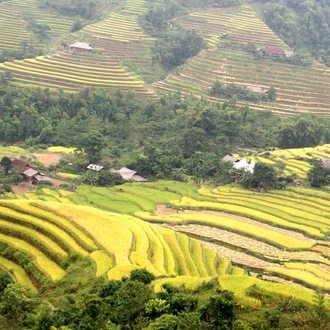 tourhub | Mr Linh's Adventures | Trekking The Northern Trails of Vietnam 9 days 8 nights 