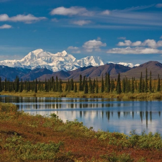 tourhub | Collette | Alaska Discovery Land & Cruise featuring a 7-night Holland America Cruise 