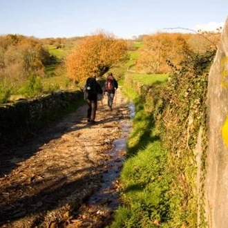 tourhub | UTracks | Camino - Sarria to Santiago Rambler 