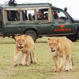 tourhub | On The Go Tours | Kenya Wildlife Wonders - 9 days 