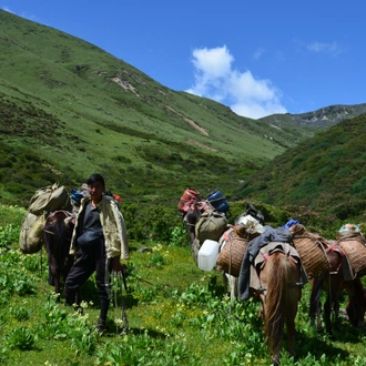 tourhub | World Tour Plan | Laya Gasa Trek 