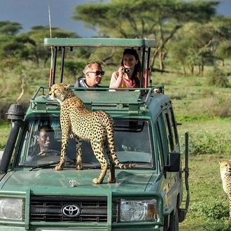 tourhub | Gracepatt Ecotours Kenya | Private 8 Days Masai Mara Wildebeest Migration Safari Adventures 