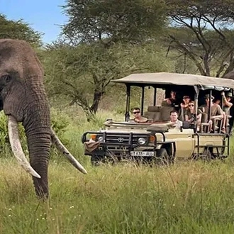 tourhub | Johnbow Tours and Travel | 4-Days Safari Masai Mara & Amboseli National Park 