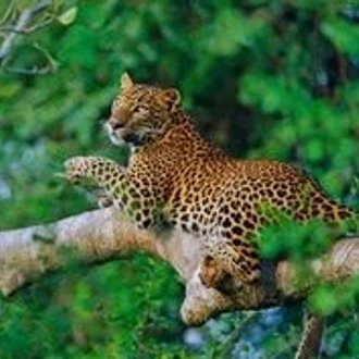 tourhub | Stelaran Holidays | Wildlife and Nature Tour 