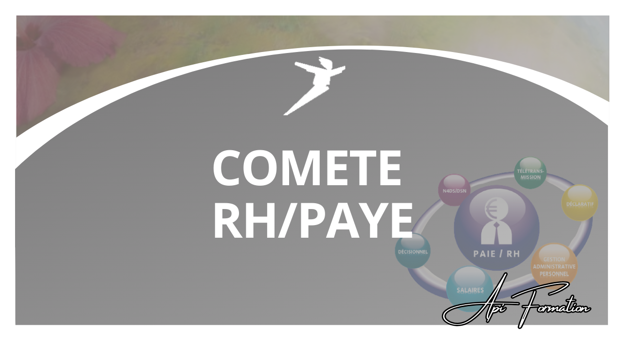 Représentation de la formation : COMETE - RH/PAYE