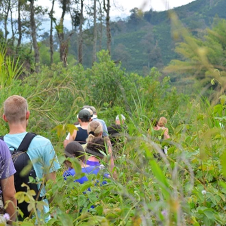 tourhub | Intrepid Travel | Cafe Colombia 