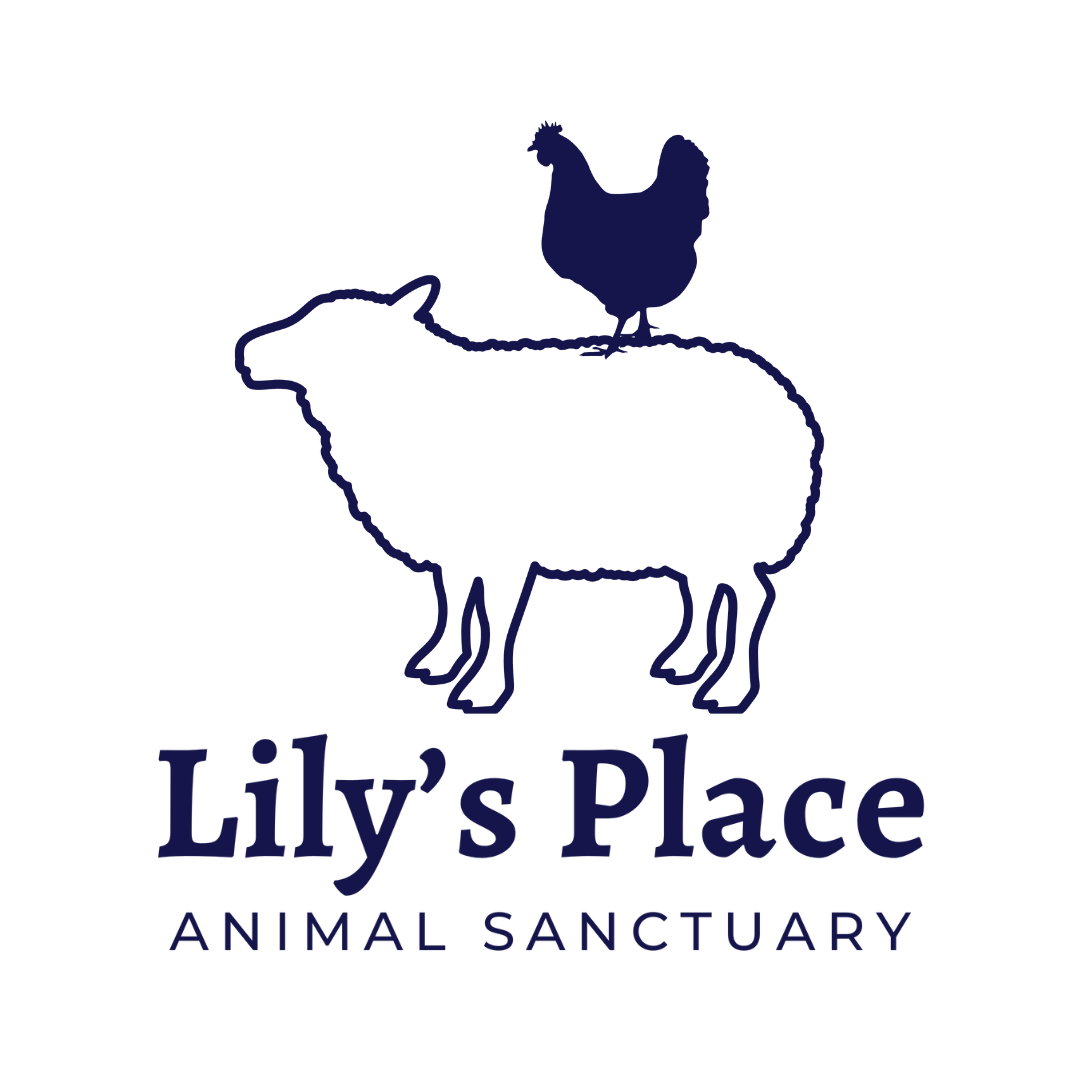 Lily's Place Animal Sanctuary logo