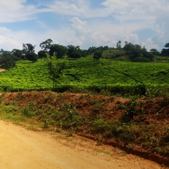 tourhub | SpiceRoads Cycling | Cycling Uganda & Rwanda: The Heart of Africa 