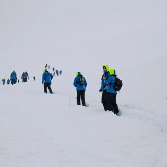 tourhub | Intrepid Travel | Ultimate Antarctica: Falklands, South Georgia & the Antarctic Circle (Ocean Endeavour)  