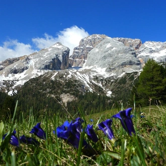 tourhub | Exodus Adventure Travels | Walks in the Italian Dolomites 