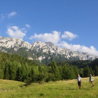 tourhub | Active Travel | Experience Ecotourism in Romania - eco-certified trekking program - 4 travellers 