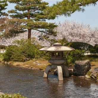 tourhub | Tweet World Travel | Japan Cherry Blossom Tour: Cherry Blossom Viewing In Japan 