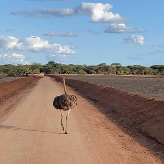 tourhub | Frenzy Adventures Limited | Tsavo East Voi Safari Lodge 