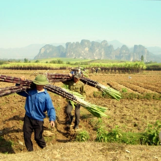 tourhub | Mr Linh's Adventures | Mai Chau - Pu Luong trekking 3 days 2 nights 